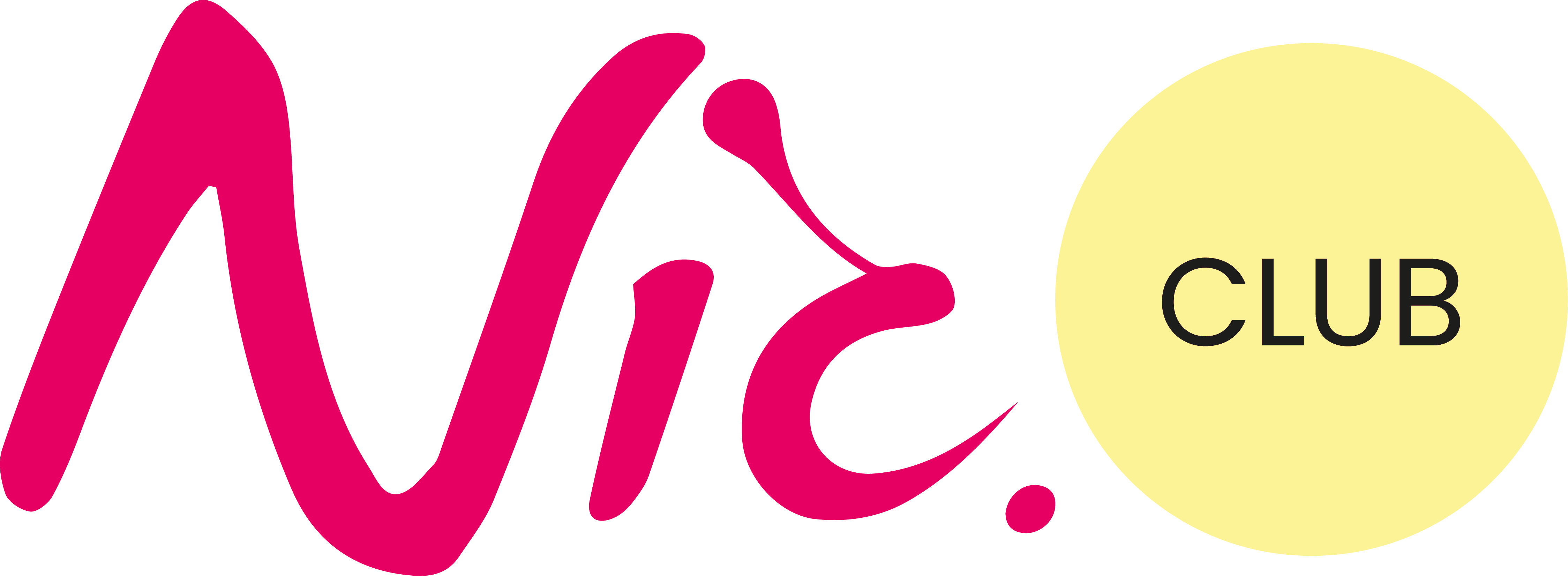 Nic Logo